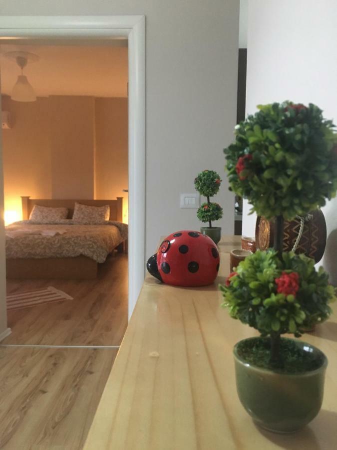 Trako'S Home 科尔察 外观 照片